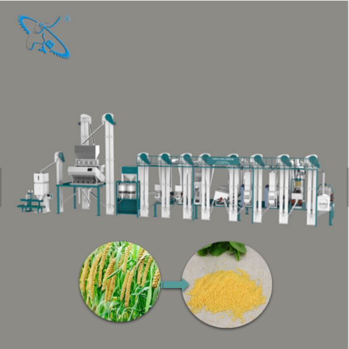 Chinese Supplier 10-200T/D Complete Millet Processing Line Equipment