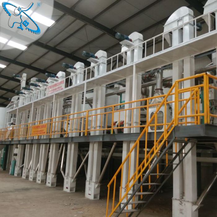 Hot Selling Quinoa Processing Machine in India